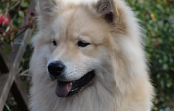 Willkommen auf unserer Website