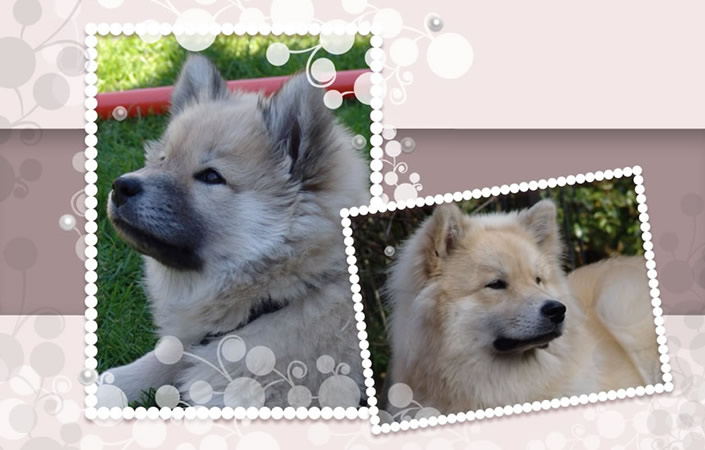 Akiras 5. Geburtstag