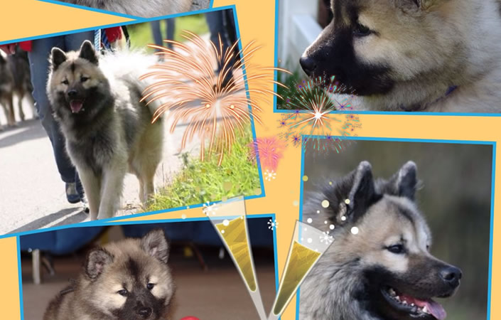 Justys 9. Geburtstag