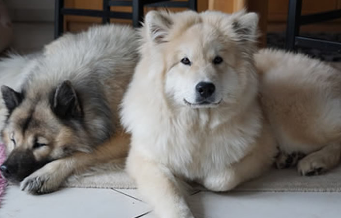 Schöne Vorweihnachtszeit