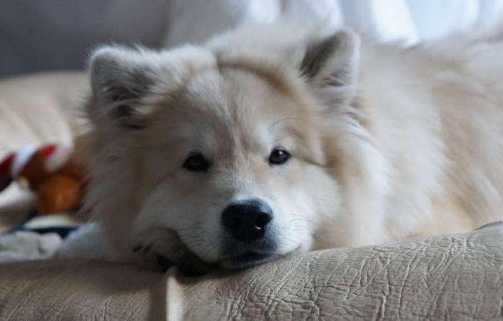 Alles Gute für 2015!