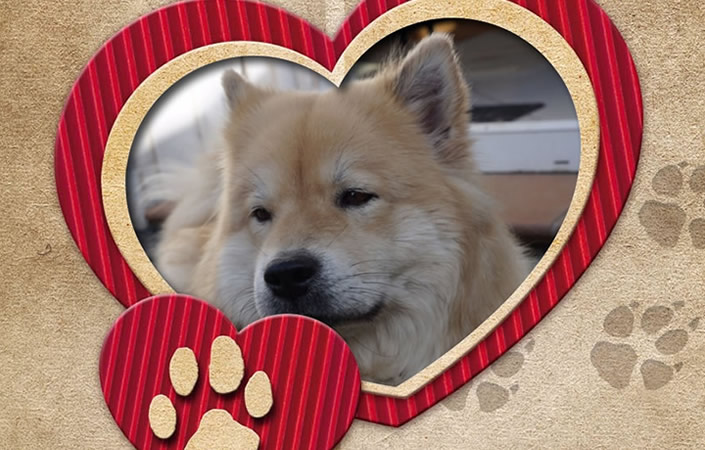 Akiras 6. Geburtstag