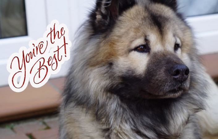 Unser Justy ist jetzt 10 Jahre alt