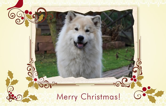 Frohes Fest und alles Gute für 2016