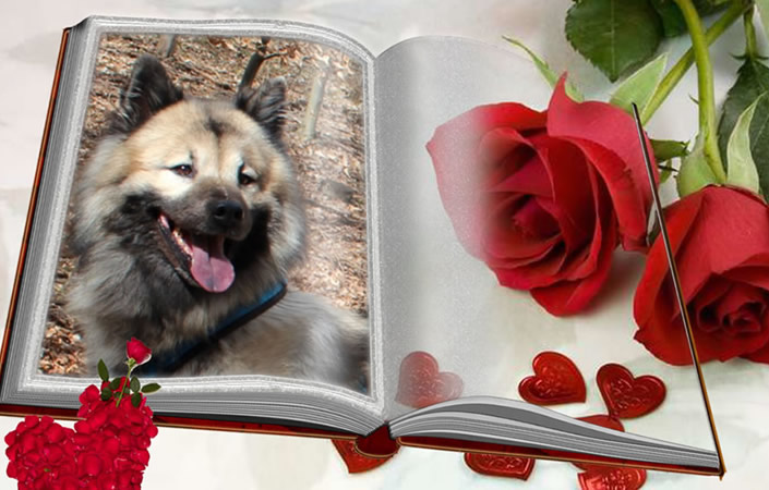 Justy hat Geburtstag