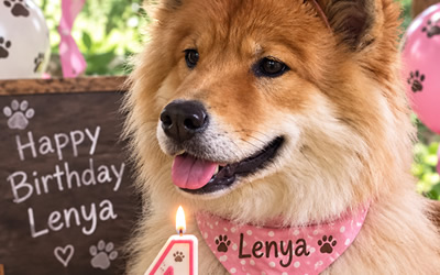 Lenyas 4. Geburtstag
